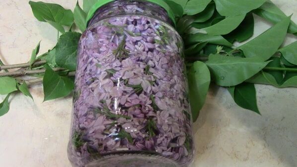 Lilac alcohol tincture for rubbing the lumbar region affected by osteochondrosis